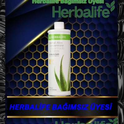 Herbalife Aloevera Mango Aromalı Konsantre İçeçek